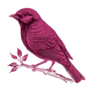 ChatGPT_Image_Aug_15__2025__10_09_04_AM__1_-removebg-preview (2)